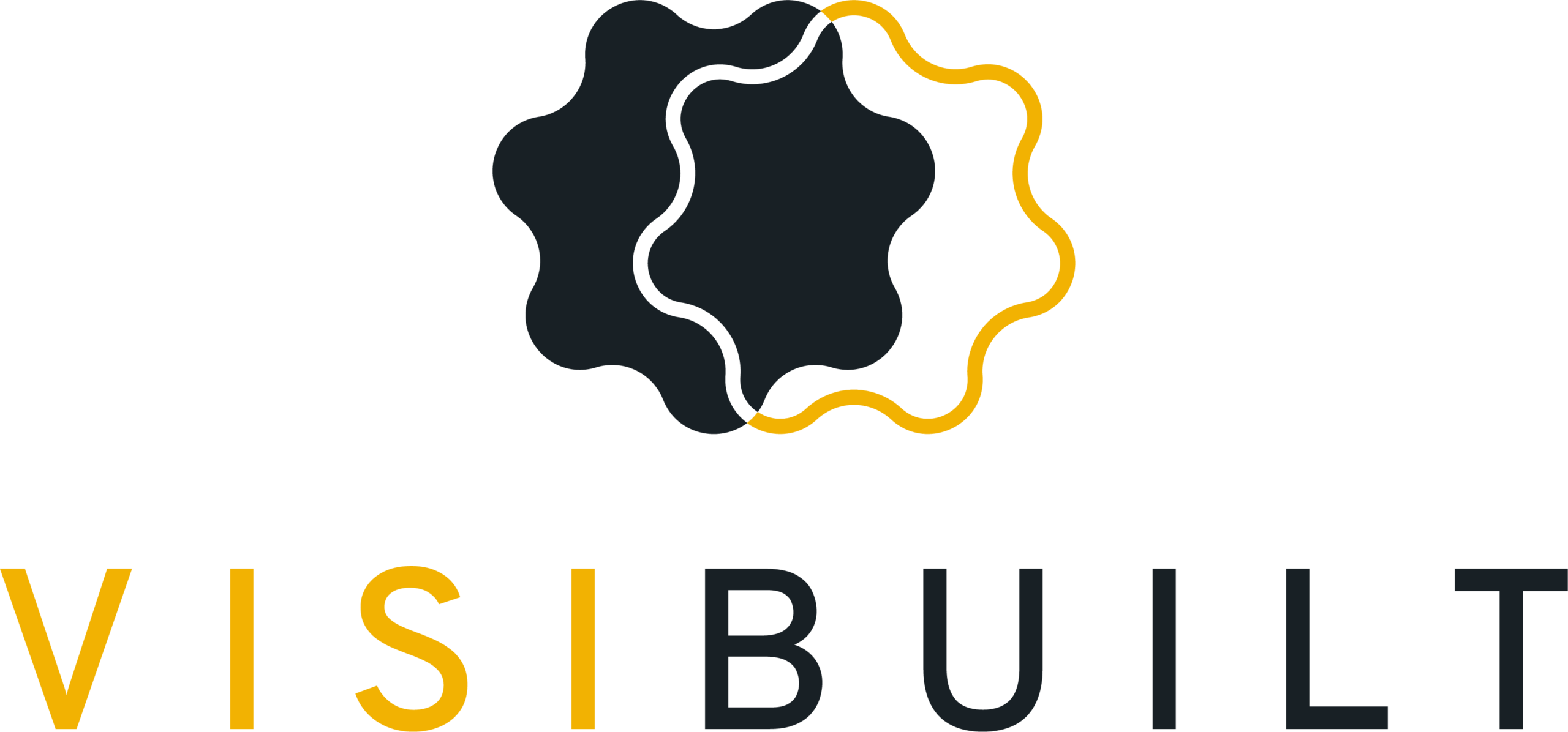 Visibuilt Logo