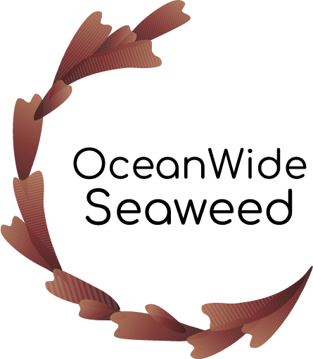 OcenWide Seaweed Logo
