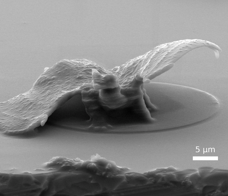 Nano 3D print