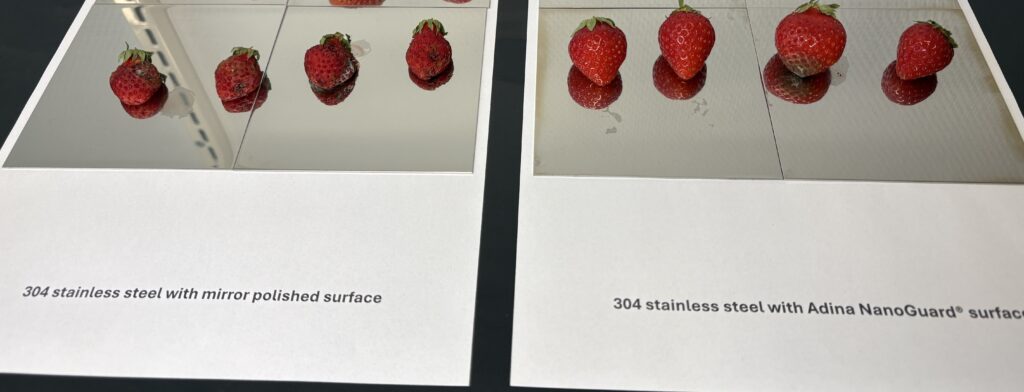 A test setup showing rotten strawberries on a control test and healthy strawberries on a test where the strawberies were on a metal surface coated with nanoguard
