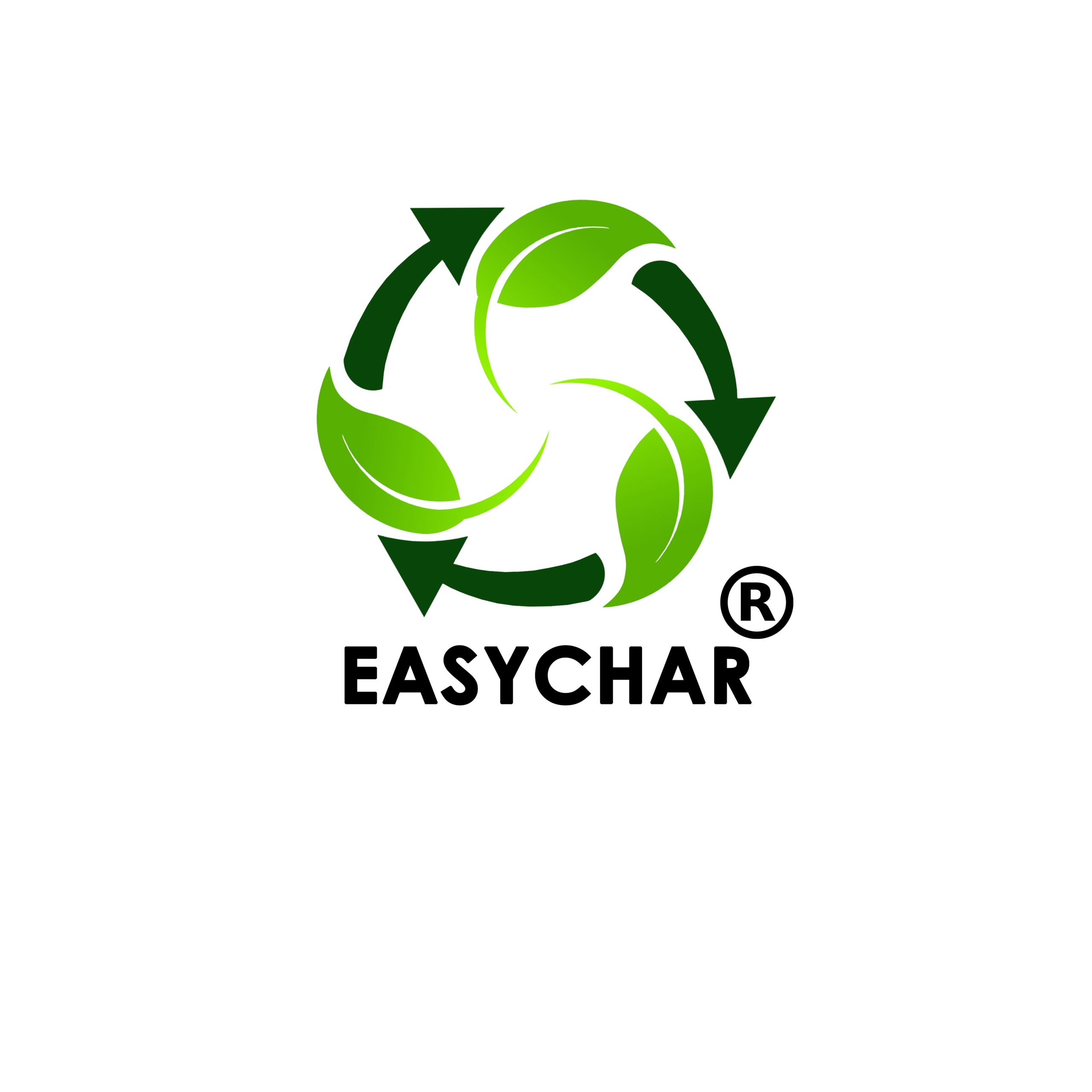 EASYCHAR logo
